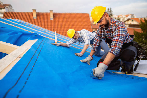 Best Roof Leak Repair  in Auburn, KY